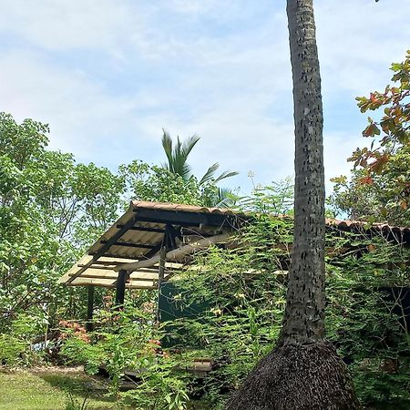 Las Lajas Beach Resort ภายนอก รูปภาพ