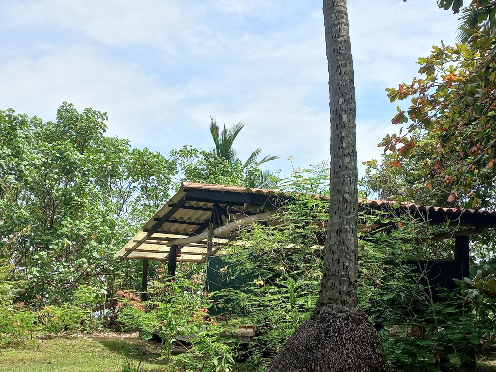 Las Lajas Beach Resort ภายนอก รูปภาพ